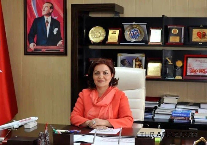 Vətən sevincinin qığılcımları-  Professor Aygün Attar yazır